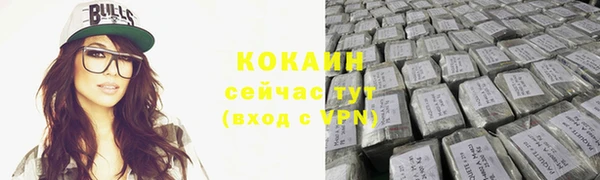 стаф Ижевск