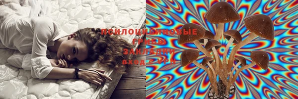 эйфоретик Козельск