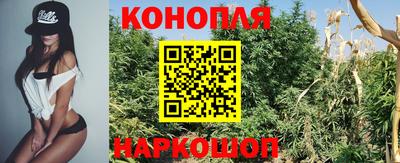 гидра Апшеронск