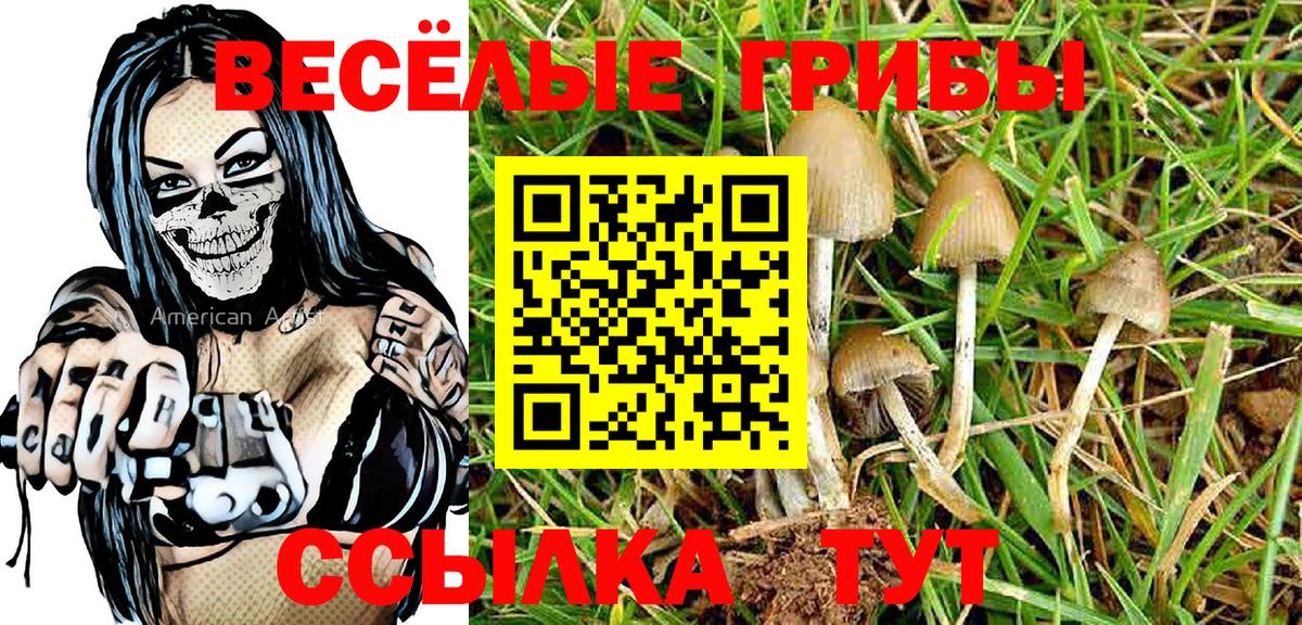 Галлюциногенные грибы Psilocybine cubensis  Псилоцибиновые грибы MAGIC MUSHROOMS  Краснодар 