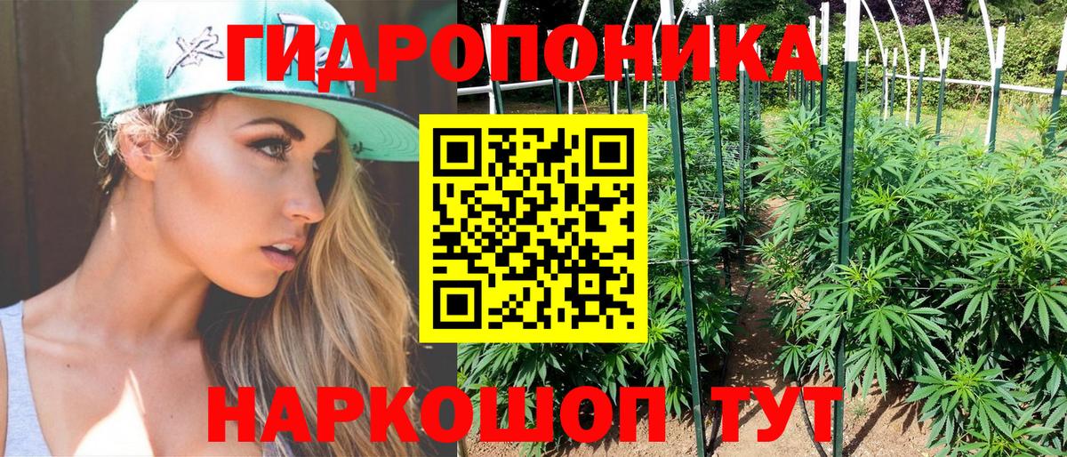 Краснодар  Канабис планчик  Вход с VPN  Бошки Шишки MAZAR 